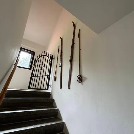 Apartman Pod Sjezdovkou Cesky Jiretin Exterior photo